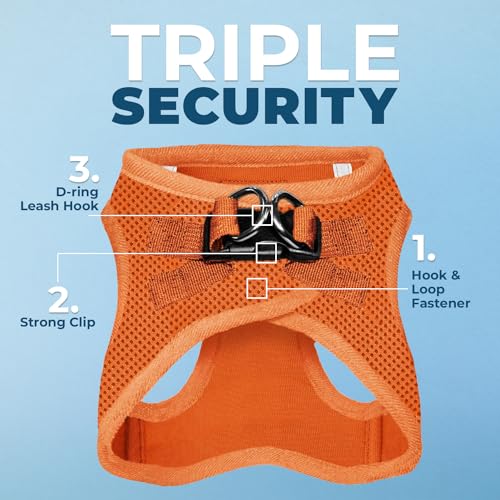 Best Pet Supplies Voyager Step-in Air Harness The Dachshund Zone