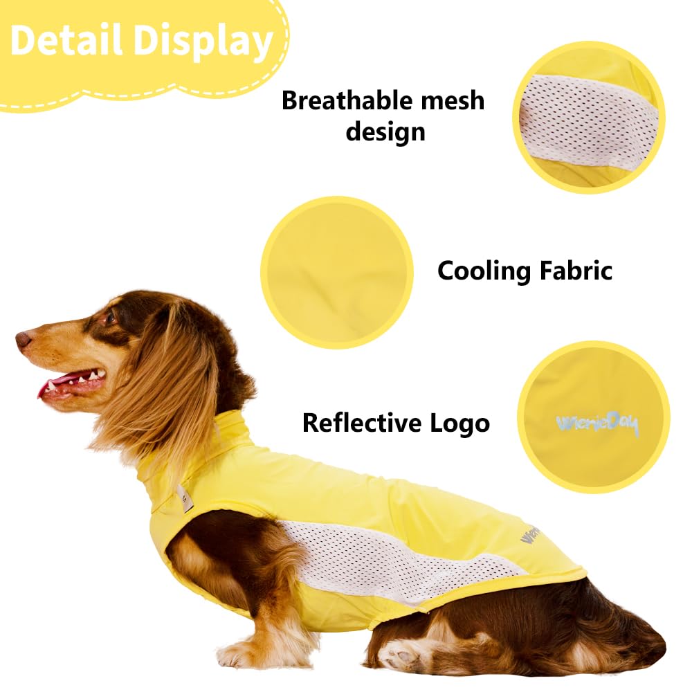 WienieDay Dachshund Dog Cooling Vest, Breathable Summer Dog Cooling & Quick-Dry Shirt The Dachshund Zone