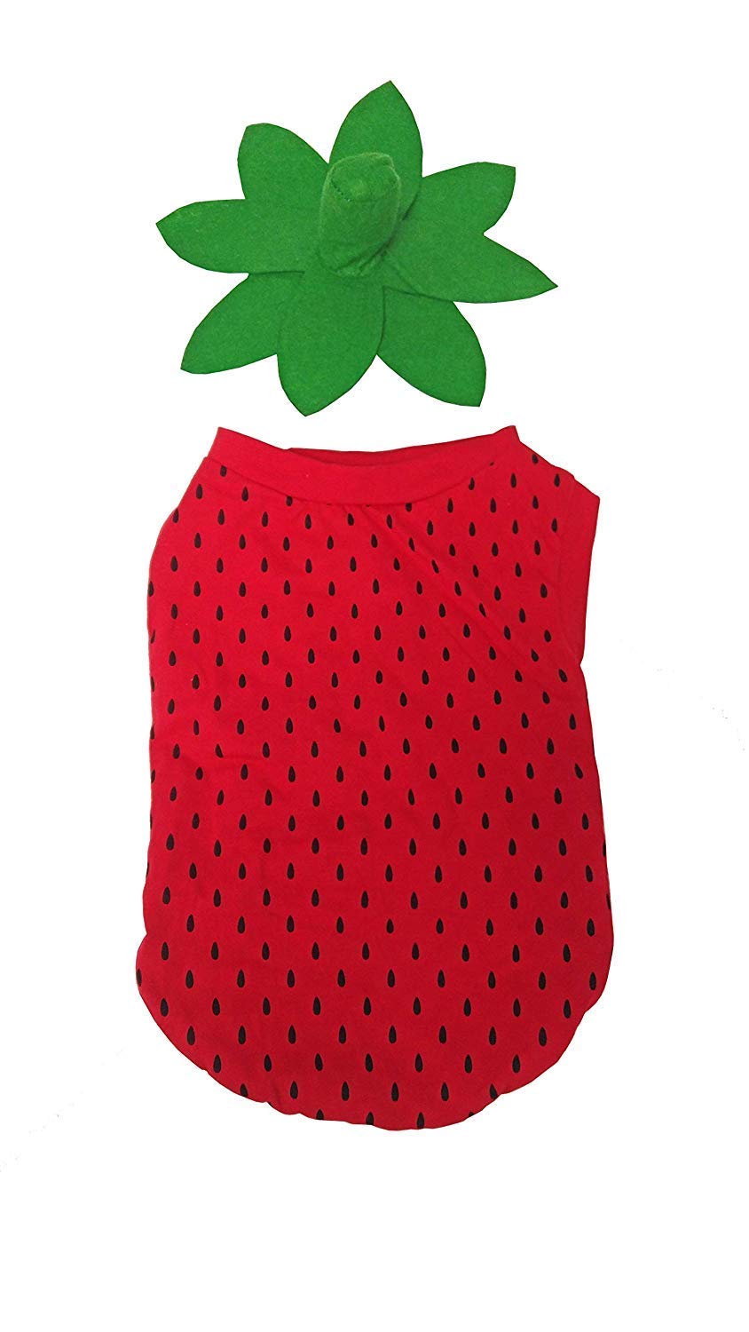 Midlee Strawberry Dog Halloween Costume (Small) The Dachshund Zone