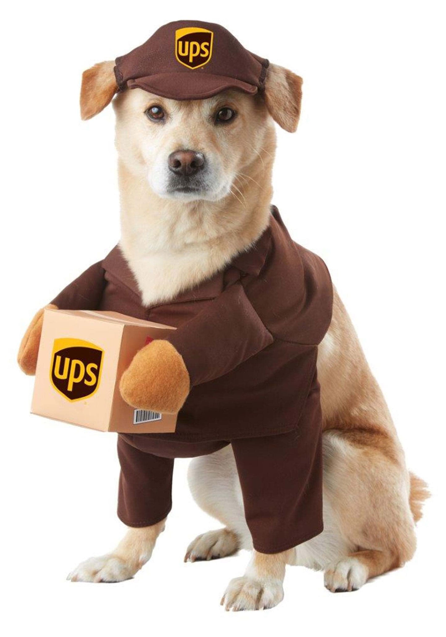 UPS Pal, Dog Costume, Small The Dachshund Zone