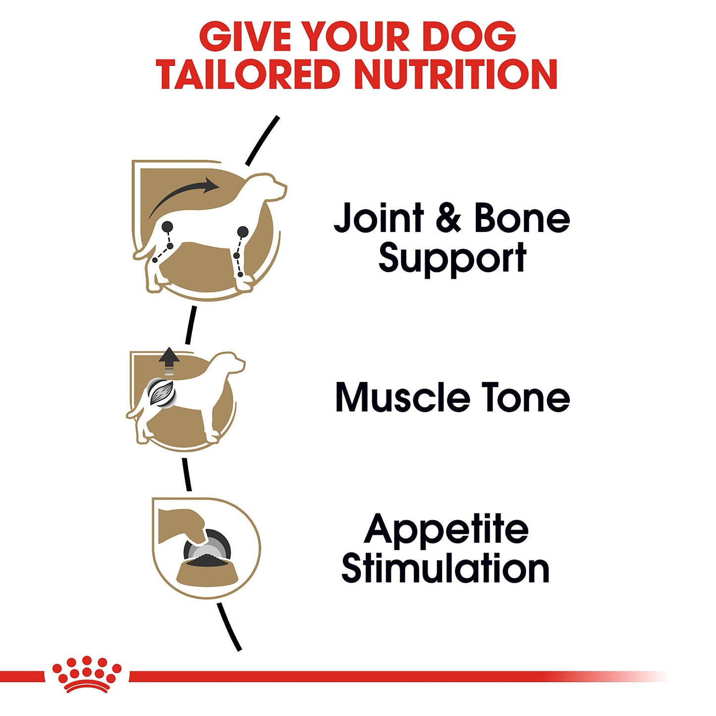 Royal Canin Breed Health Adult Loaf in Sauce The Dachshund Zone