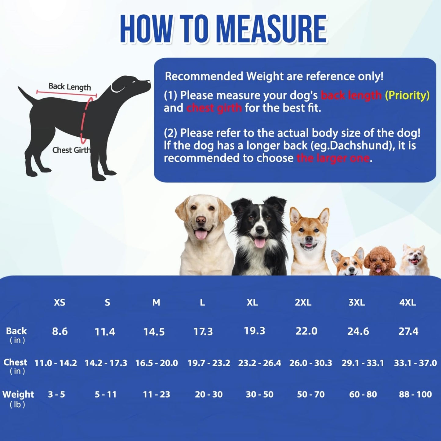 Dog Surgery Recovery Suit - Zipper On Dog Onesies The Dachshund Zone