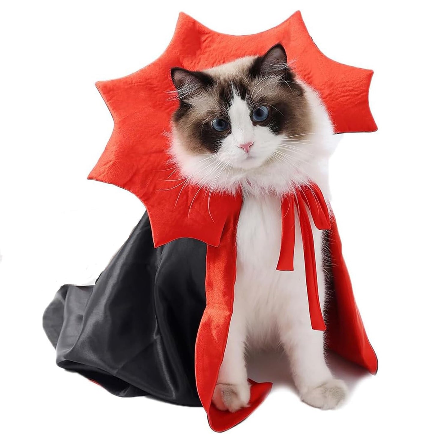 Dog Halloween Costumes for Small Dogs The Dachshund Zone