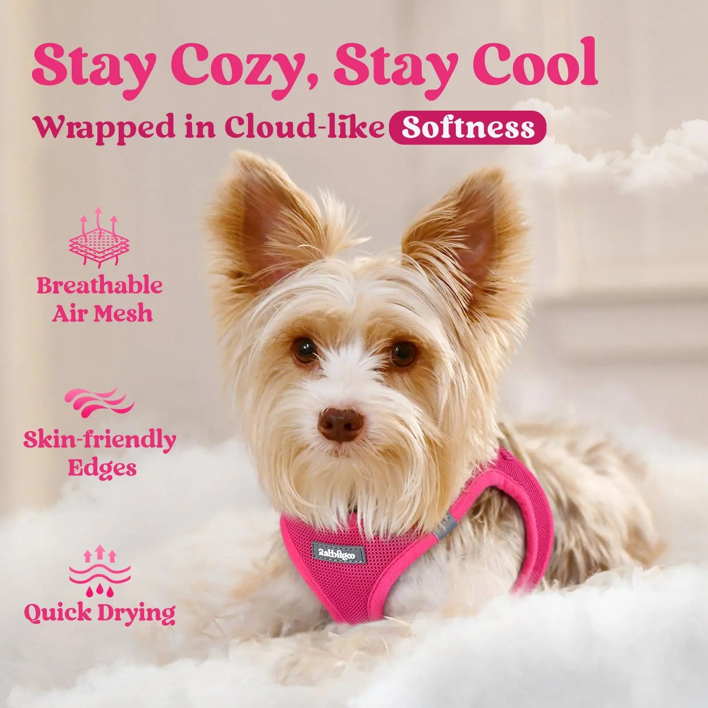 Small Dog Harness, Step-in Soft Mesh Puppy Vest with Safety Buckle, The Dachshund Zone