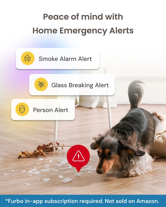 Furbo 360° Dog Camera - Unlock with Paid Plan: Home Security & Dog Safety Alerts The Dachshund Zone