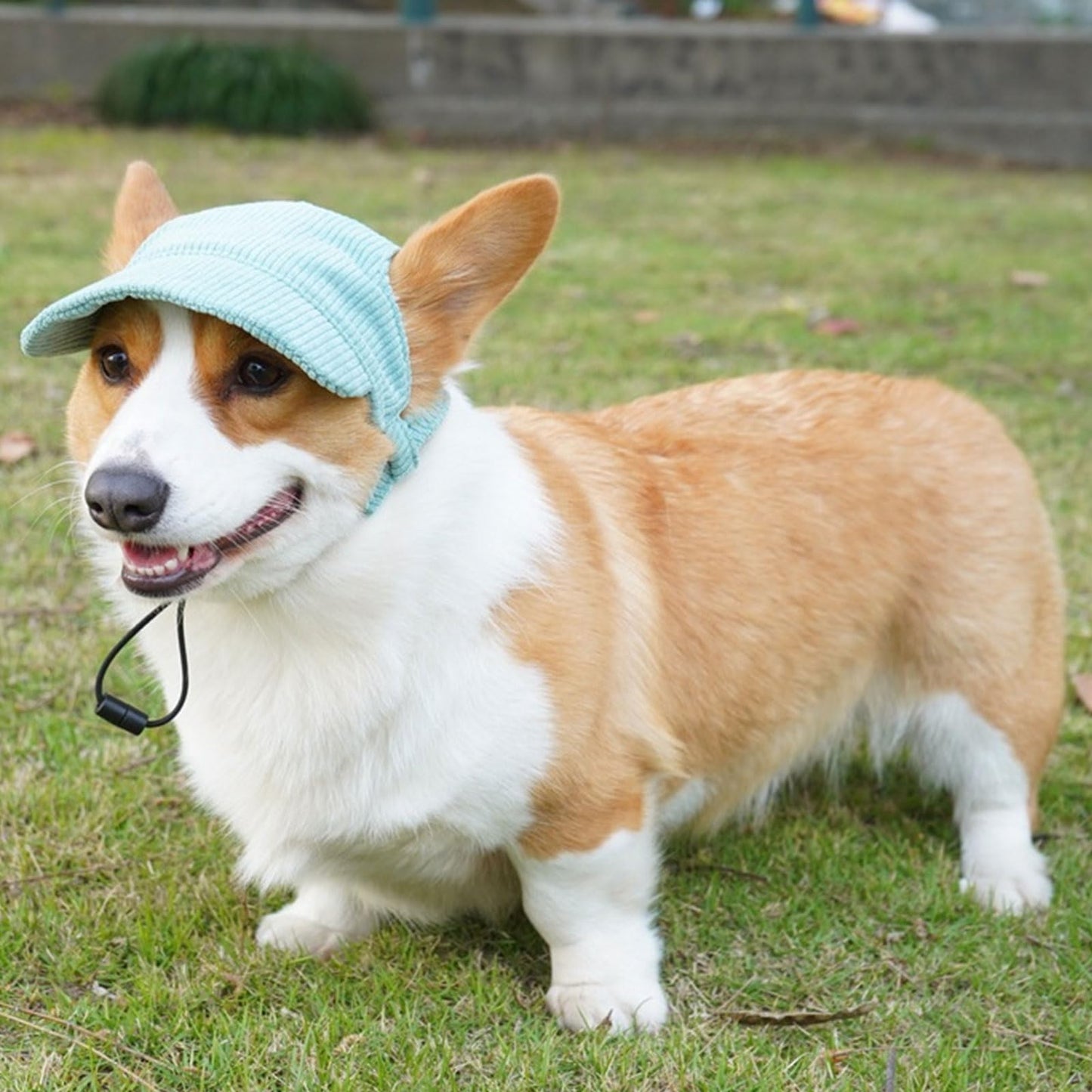 Dog Baseball Cap, Dog Cat Summer Beach Visor Hat with Ear Holes, Adjustable Puppy Sunbonnet Headdress (Green, Small) The Dachshund Zone
