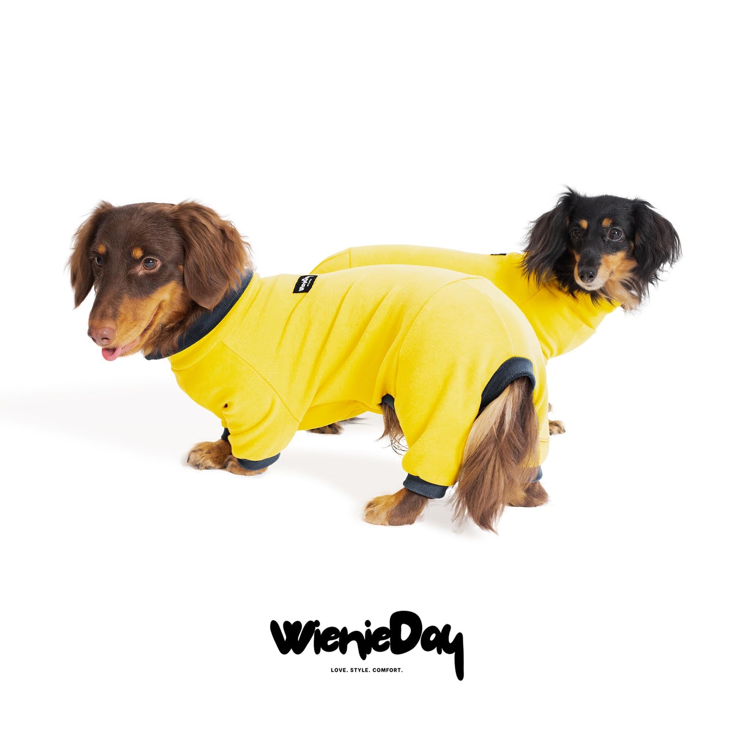 WienieDay Dachshund Dog Turtleneck Sweater, Adjustable Polo Collar The Dachshund Zone