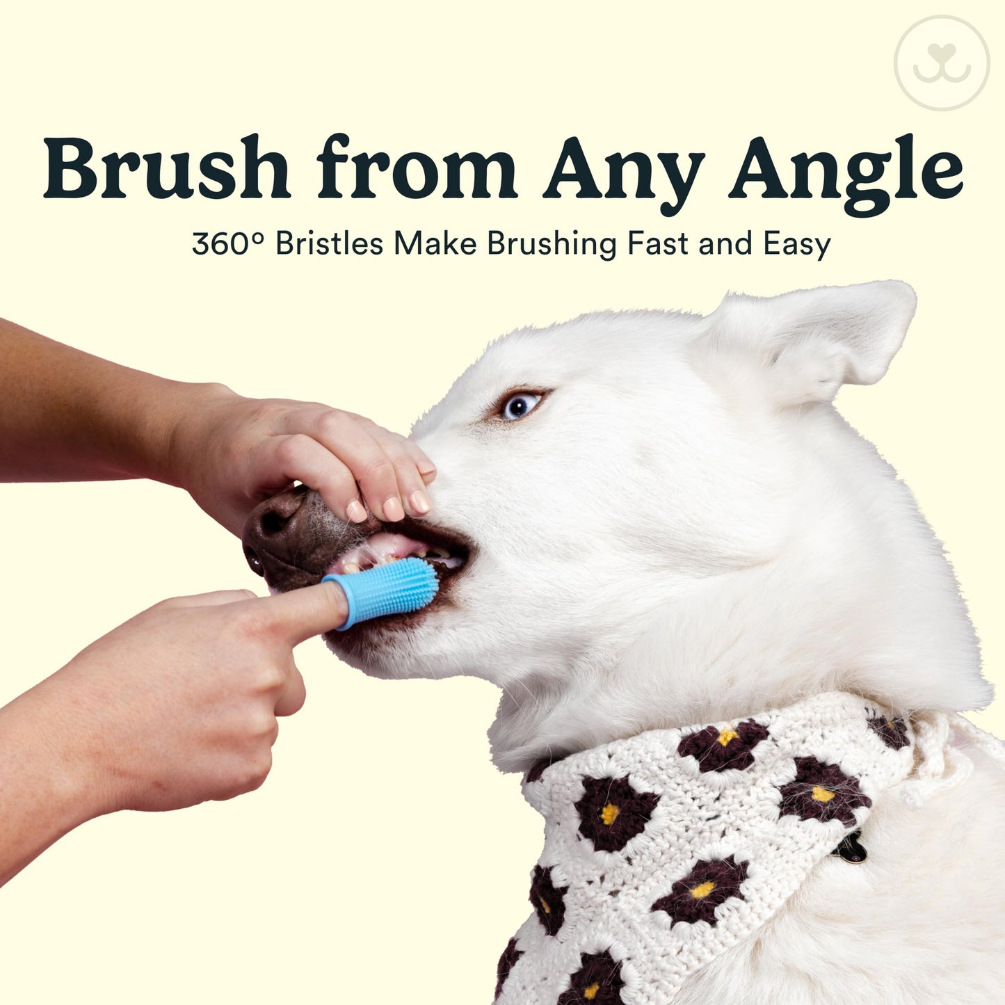 Jasper Dog Toothbrush, 360 Degree Pet Tooth Brushing Kit Toothbrush The Dachshund Zone