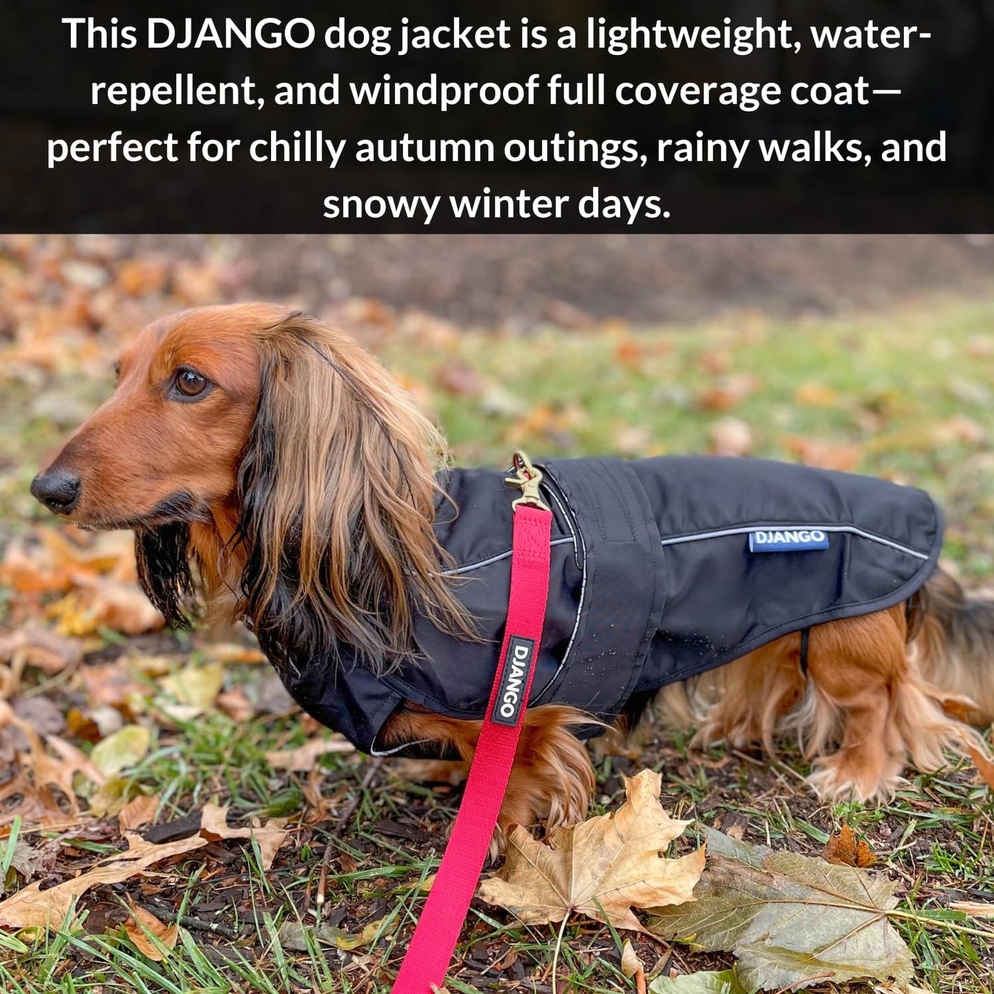 DJANGO Dog Jacket & Raincoat – Lightweight Water-Resistant Coat for Long Dogs The Dachshund Zone