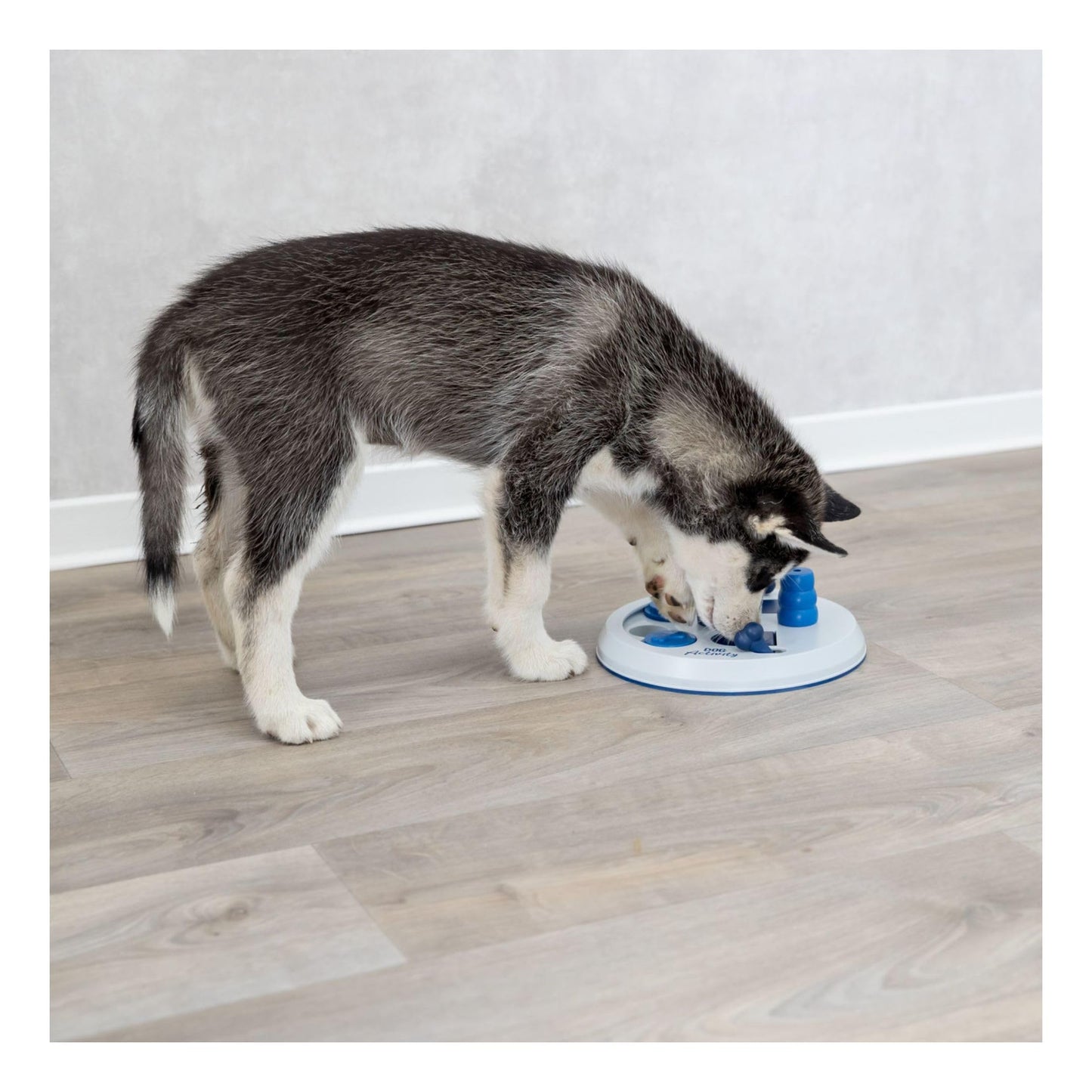 TRIXIE Flip Board Dog Enrichment Toy The Dachshund Zone