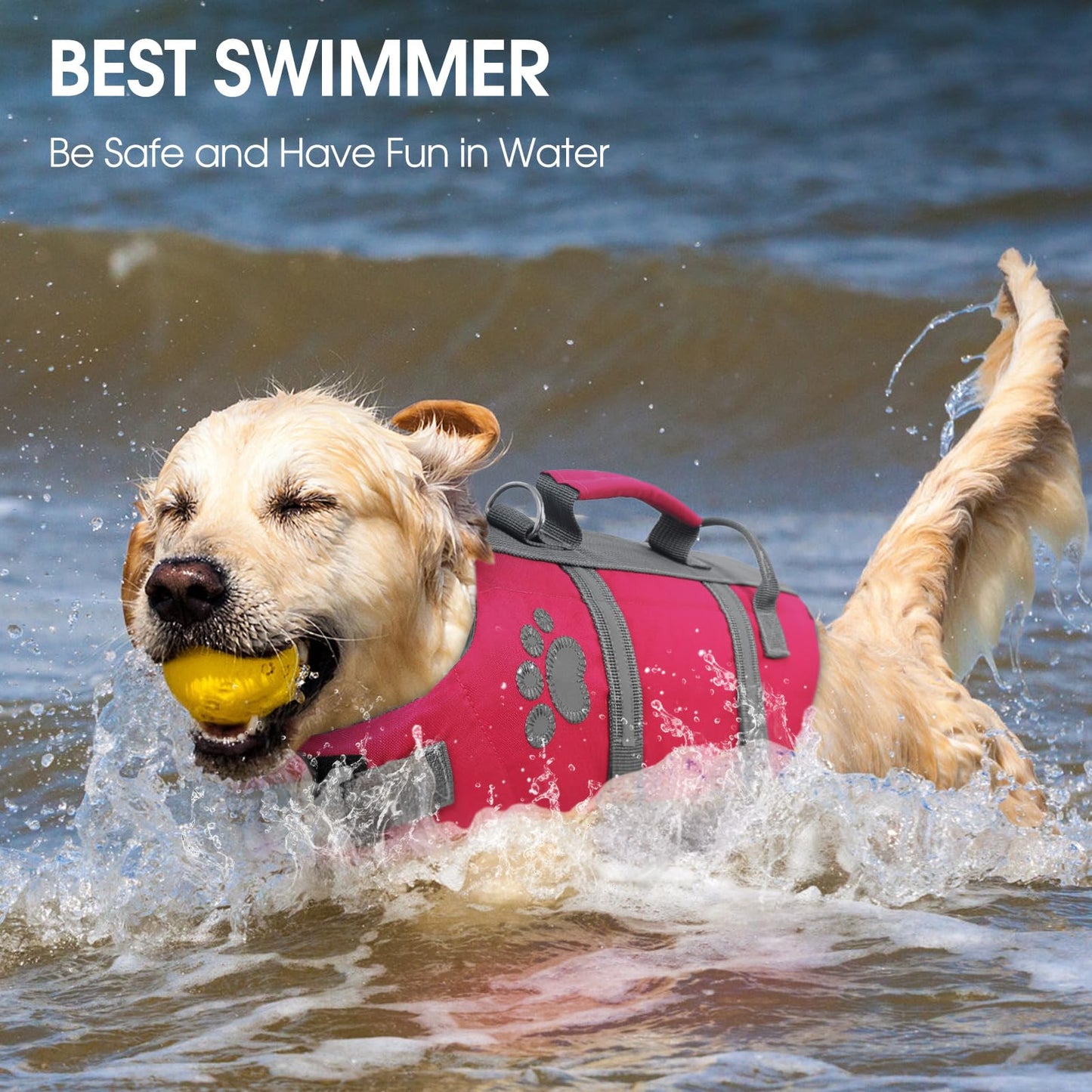 Queenmore Small Dog Life Jacket, Ripston Puppy Life Vest The Dachshund Zone