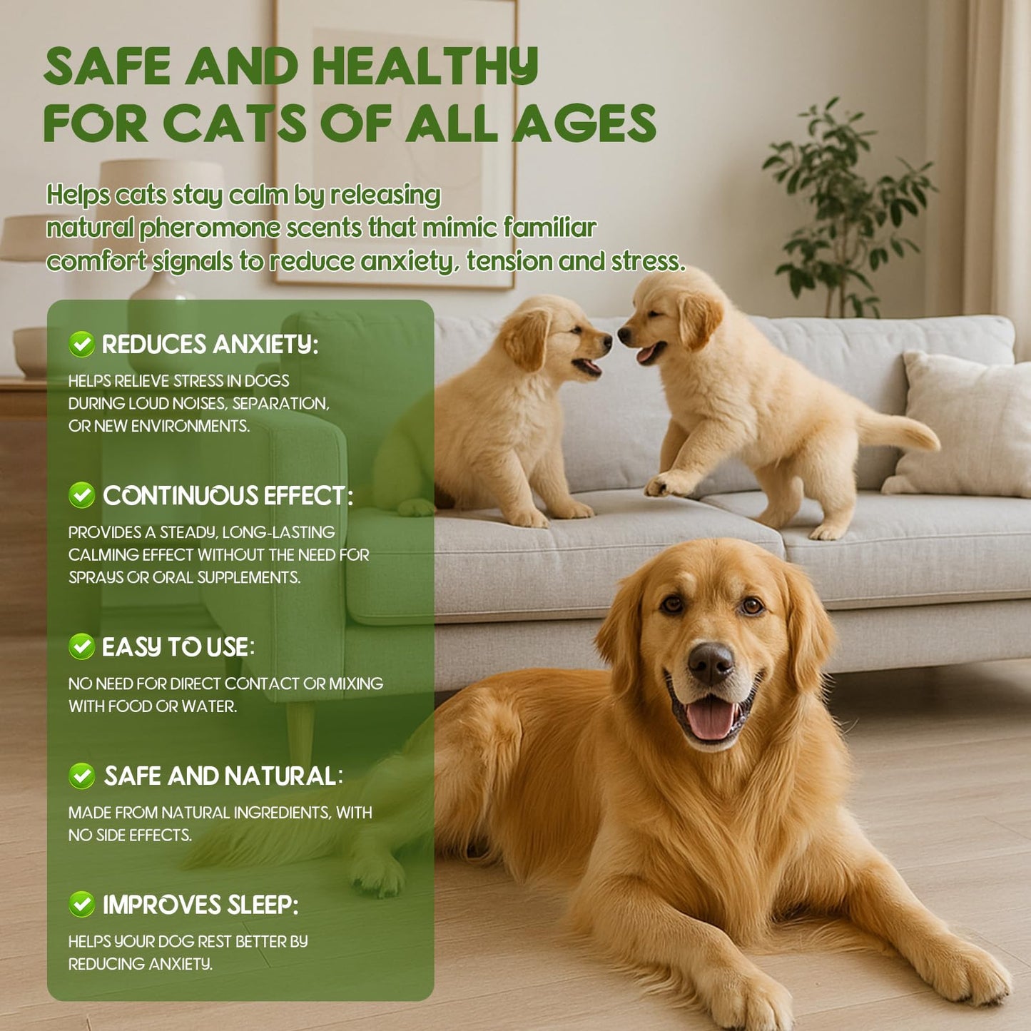 80S Pheromone Diffuser for Dogs, Dog Calming The Dachshund Zone