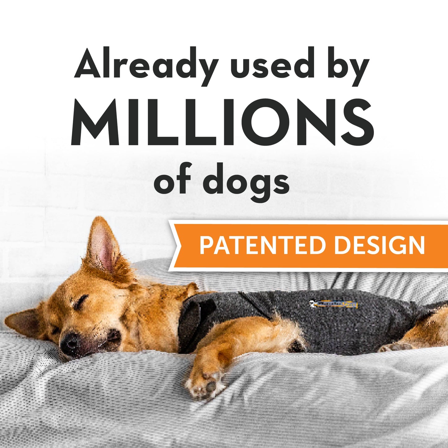 ThunderShirt for Dogs, X Small, Heather Gray Classic - Dog Anxiety Relief Calming Vest The Dachshund Zone