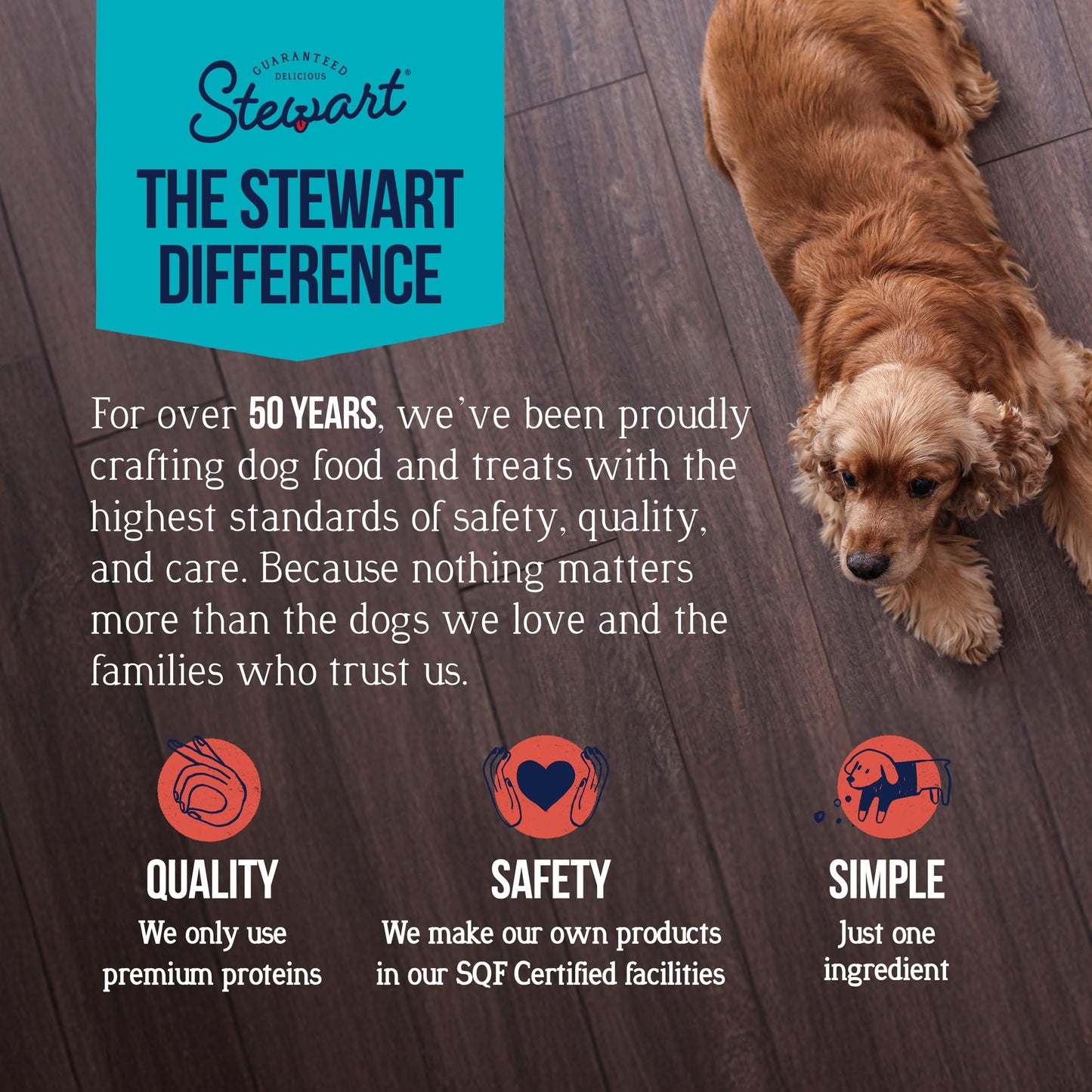 Stewart Single Ingredient Freeze Dried Raw Dog Treats The Dachshund Zone