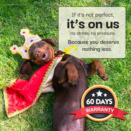 Dachshund Tribe Dog Car Seat for Small Dogs The Dachshund Zone