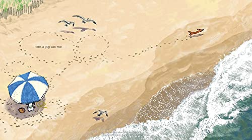 Hot Dog: (Winner of the 2023 Caldecott Medal) The Dachshund Zone