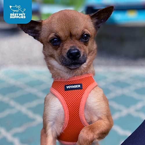 Best Pet Supplies Voyager Step-in Air Harness The Dachshund Zone