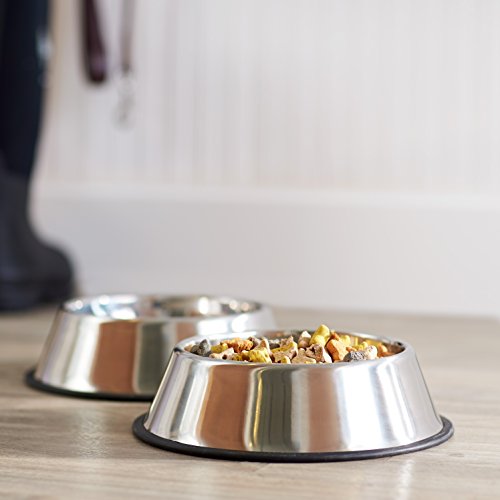 Amazon Basics Stainless Steel Non-Skid Pet Dog Water And Food Bowl The Dachshund Zone