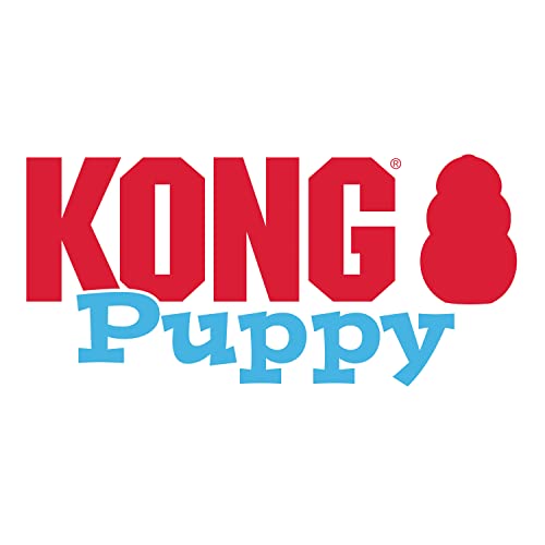 KONG Puppy - Natural Teething Rubber Chew Toy for Dogs The Dachshund Zone