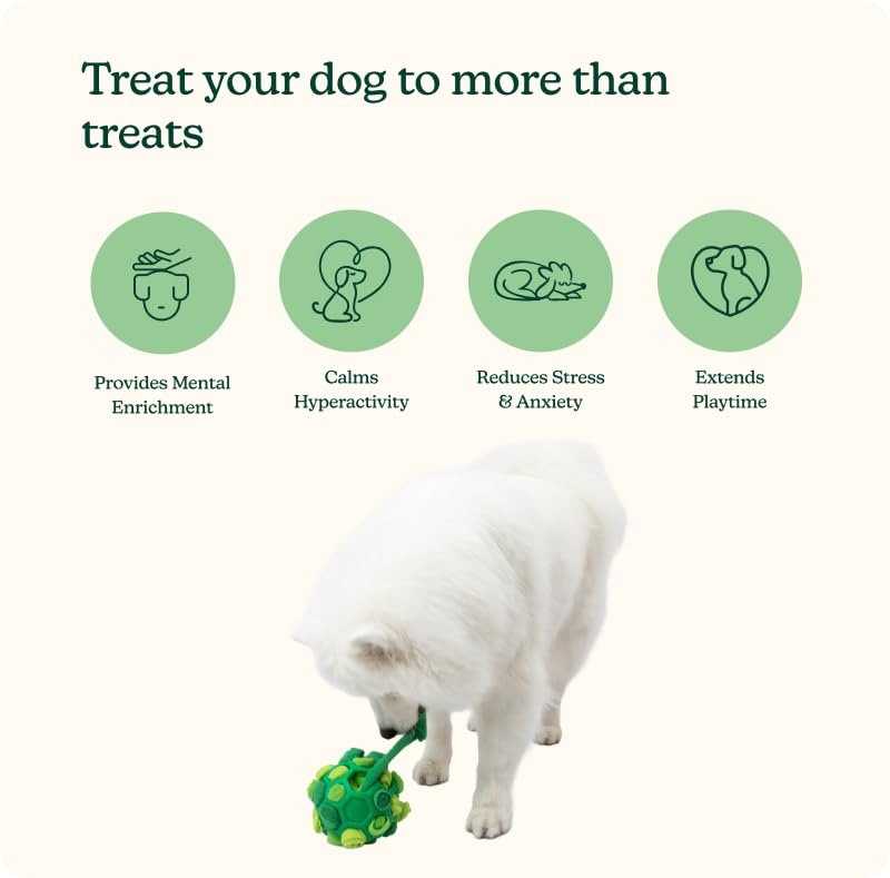 Reggie Forager Ball for Dogs The Dachshund Zone