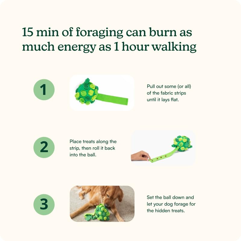 Reggie Forager Ball for Dogs The Dachshund Zone