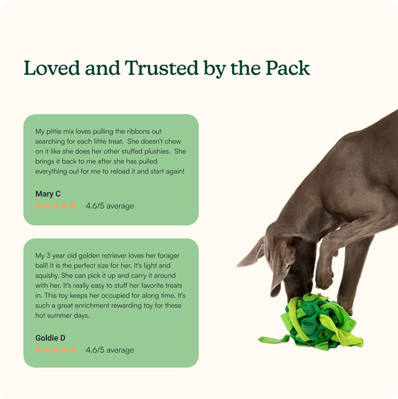 Reggie Forager Ball for Dogs The Dachshund Zone