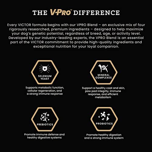 VICTOR Super Premium Dog Food – Hi-Pro Plus Dry Kibble The Dachshund Zone