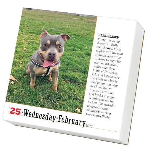 365 Dogs Page-A-Day® Calendar 2026: The World's Favorite Dog Calendar