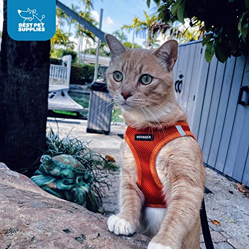 Best Pet Supplies Voyager Step-in Air Harness The Dachshund Zone