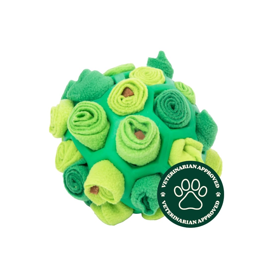 Reggie Forager Ball for Dogs The Dachshund Zone