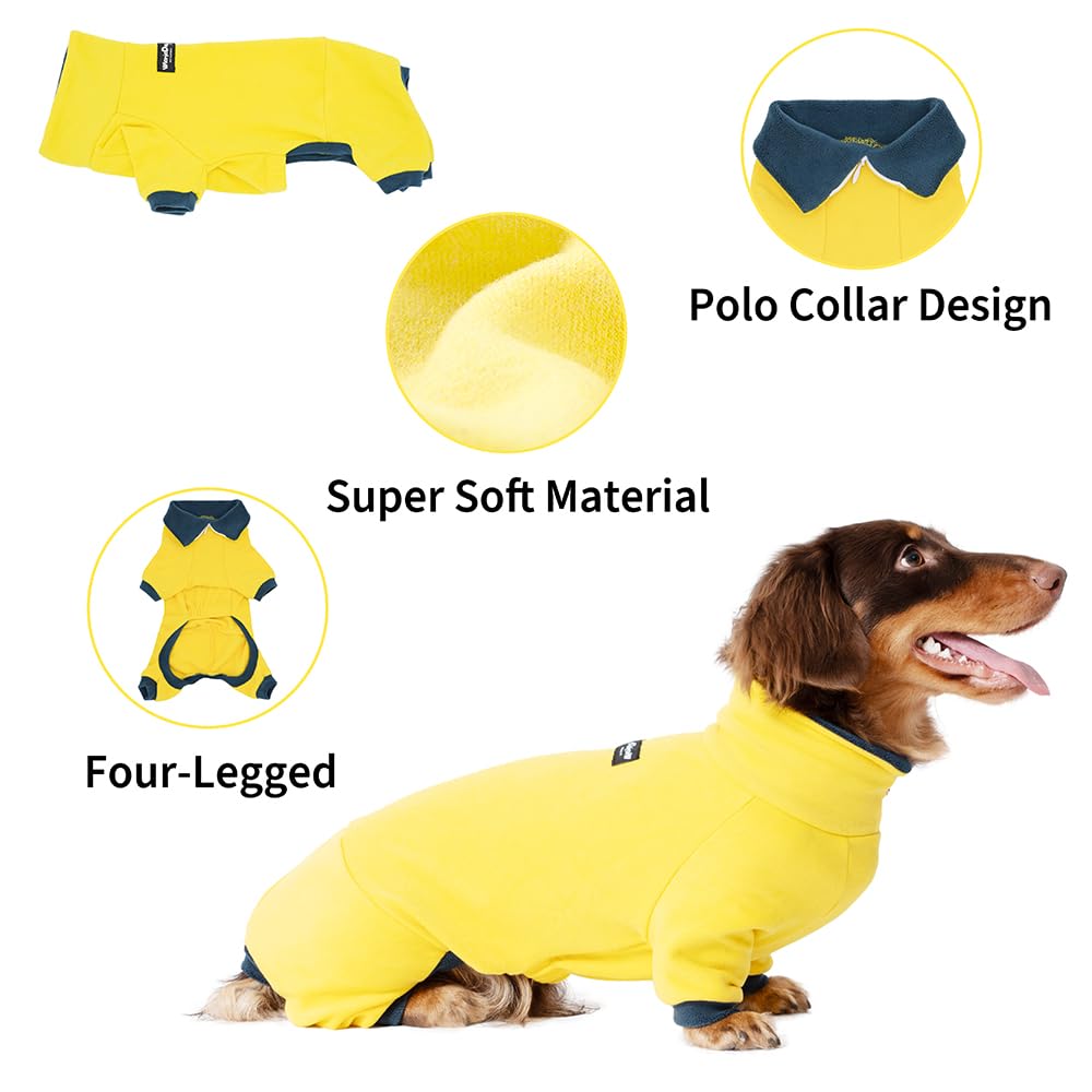 WienieDay Dachshund Dog Turtleneck Sweater, Adjustable Polo Collar The Dachshund Zone