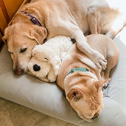 Original Snuggle Puppy Heartbeat Puppy for Dogs - Pet Anxiety Relief The Dachshund Zone