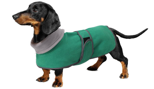 Dachshund Sweaters - Dachshund Dog Jacket The Dachshund Zone