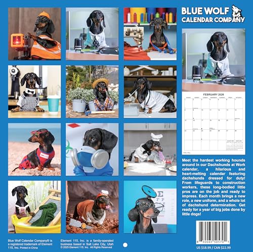 2026 Dachshunds at Work Monthly Wall Calendar The Dachshund Zone