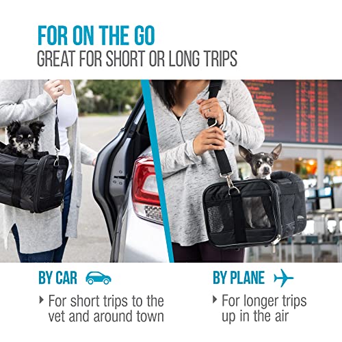 Sherpa Original Deluxe Travel Pet Carrier, Airline Approved The Dachshund Zone
