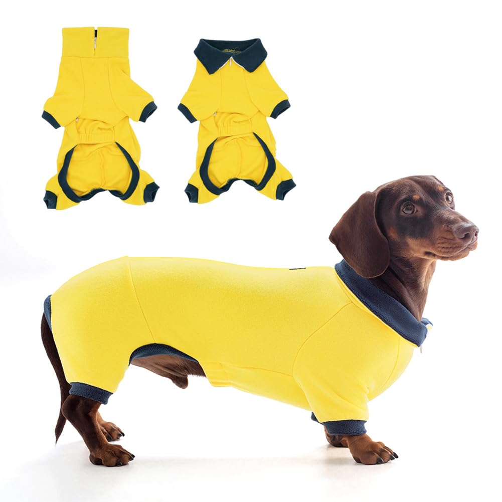 WienieDay Dachshund Dog Turtleneck Sweater, Adjustable Polo Collar The Dachshund Zone