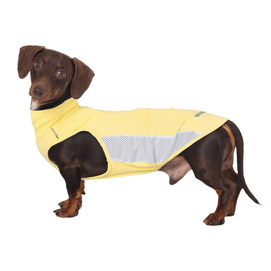 WienieDay Dachshund Dog Cooling Vest, Breathable Summer Dog Cooling & Quick-Dry Shirt The Dachshund Zone
