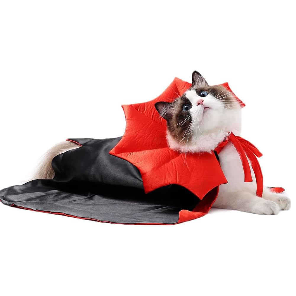 Dog Halloween Costumes for Small Dogs The Dachshund Zone