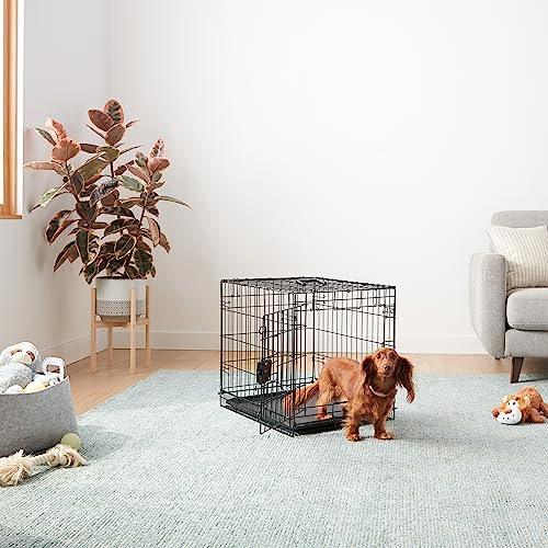 Amazon Basics Durable, Foldable Metal Wire Small Dog Crate with Tray, Single Door, 24 x 18 x 20 in, Black The Dachshund Zone