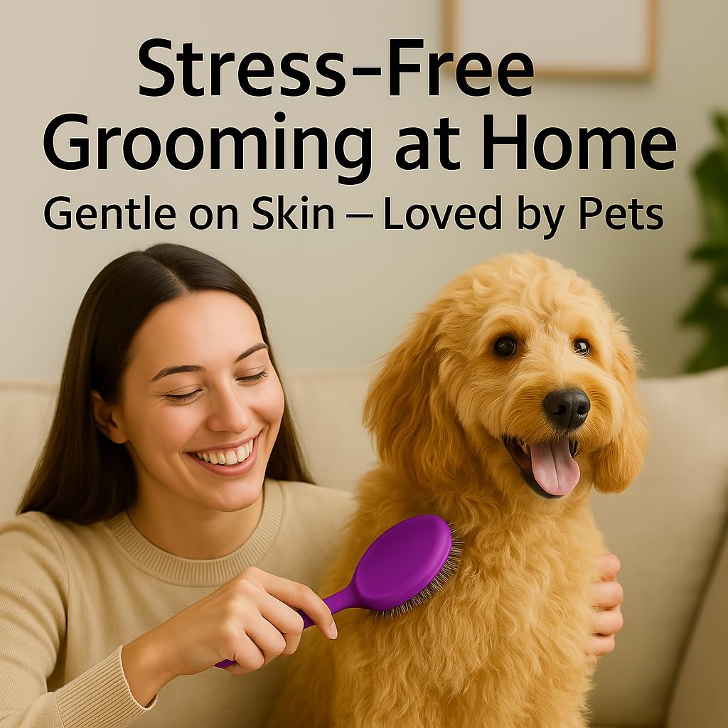 Round Bristle Pet Brush for Dogs and Cats - Soft Dog Brush for Grooming Short or Long Hair The Dachshund Zone