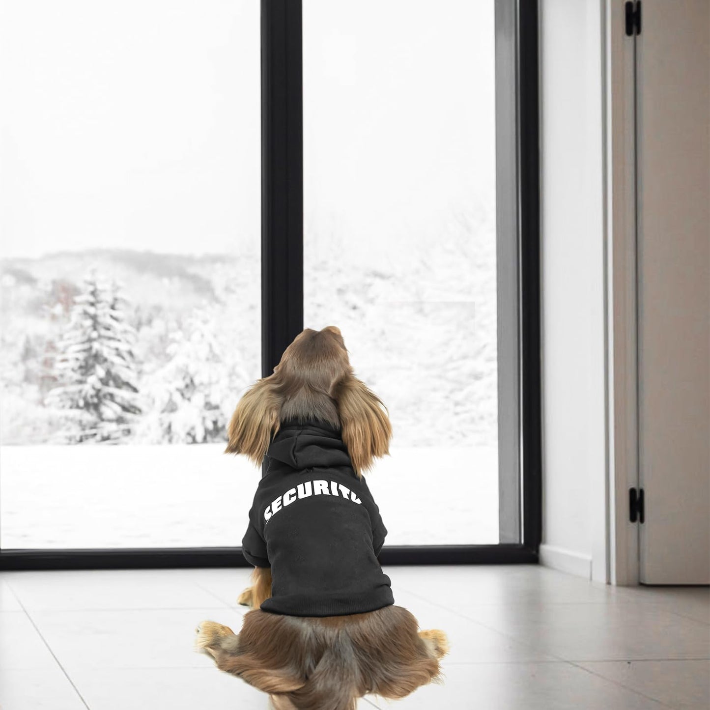 Security Dog Hoodies Dachshund The Dachshund Zone