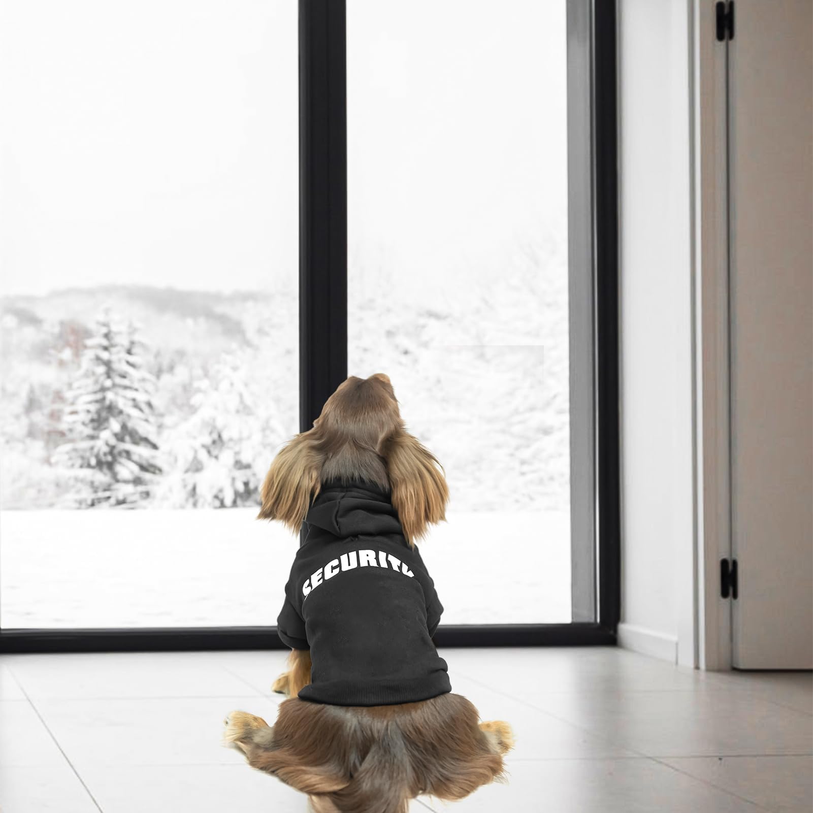 Security Dog Hoodies Dachshund The Dachshund Zone