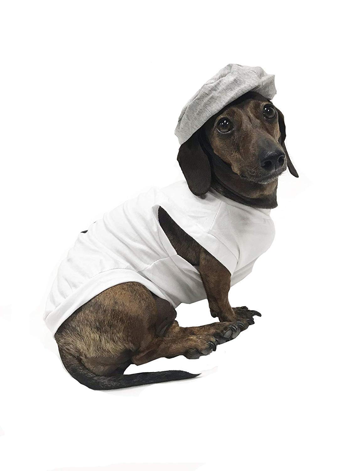 Salt & Pepper Dog Halloween Costume (Pepper, Medium) The Dachshund Zone