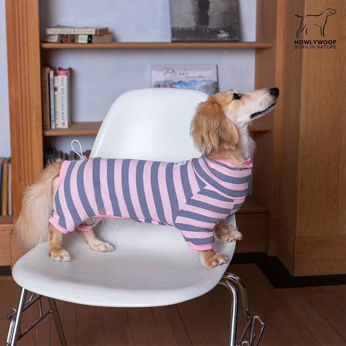 HowlyWoof Dachshund Dog Shirt, Thin Striped Base Layer Onesie for Wiener Dogs, Lightweight All-Season Wear. The Dachshund Zone