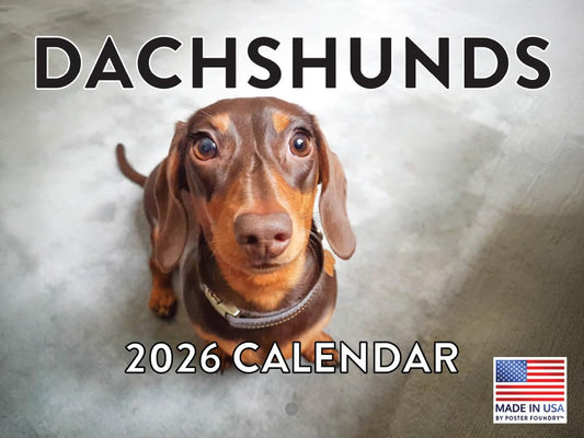 Dachshund Calendar 2026 Monthly Wall Calender The Dachshund Zone