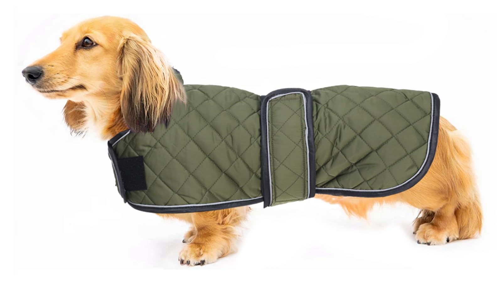 Warm Thermal Quilted Dachshund Coat,Dog Winter Coat with Warm Fleece Lining The Dachshund Zone