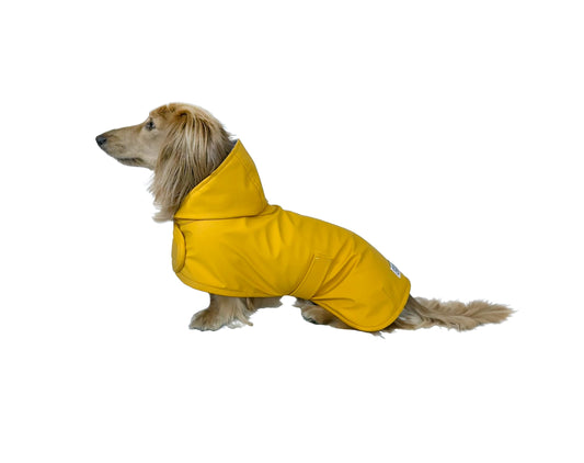 Hudson Hound, Dachshund Raincoat, Sausage Dog Rain Jacket The Dachshund Zone