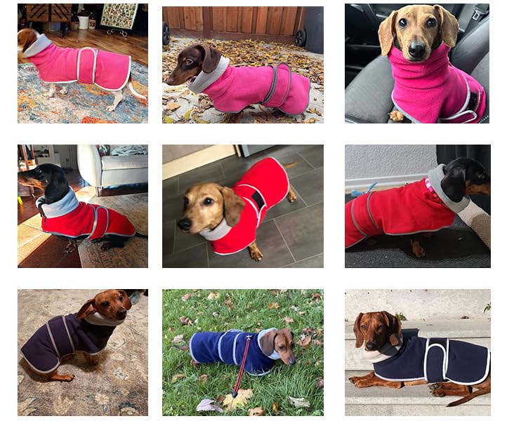 Dachshund Sweaters - Dachshund Dog Jacket The Dachshund Zone