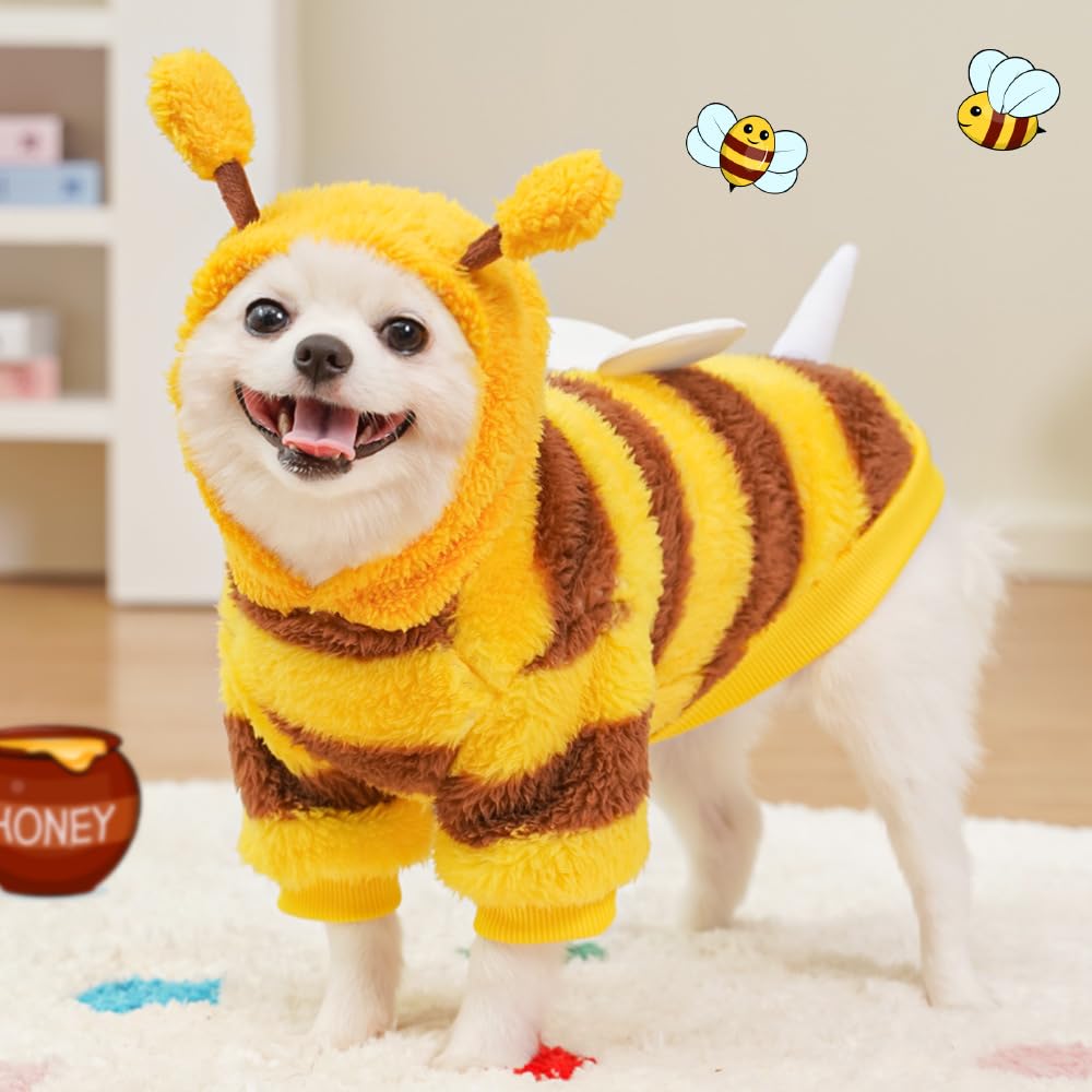 Dog Bee Costumes for Halloween The Dachshund Zone