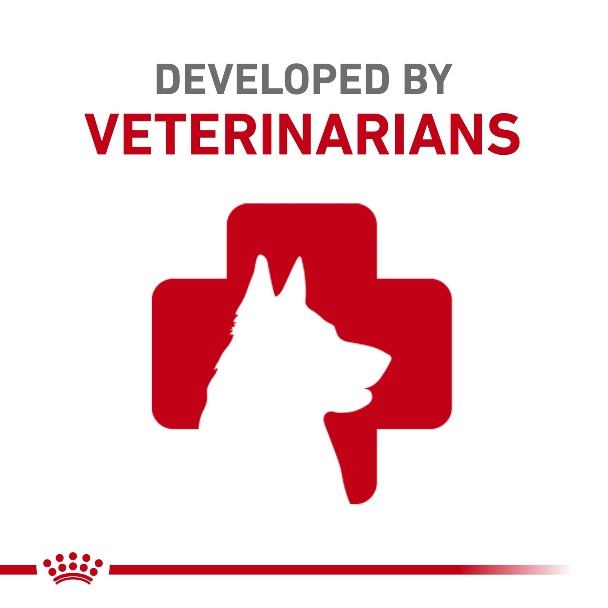 Royal Canin Breed Health Adult Loaf in Sauce The Dachshund Zone